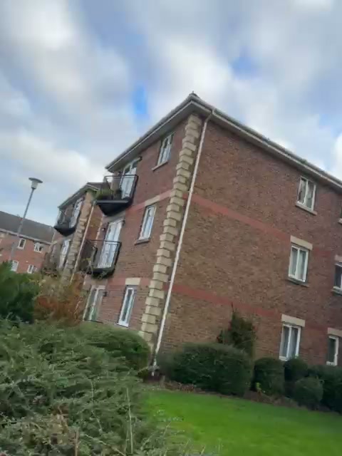Commercial gutter clean carried out safely from height