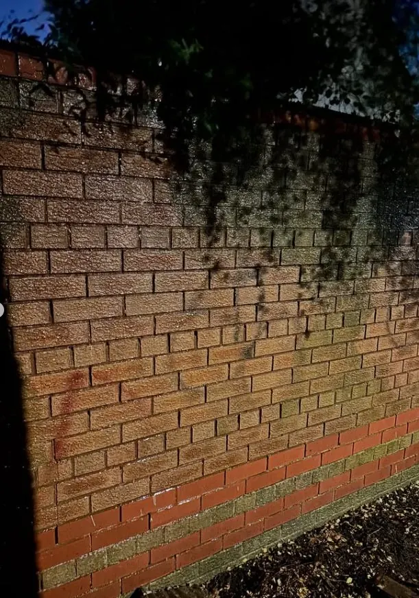 Clean brick wall after professional paint removal revealing original brickwork